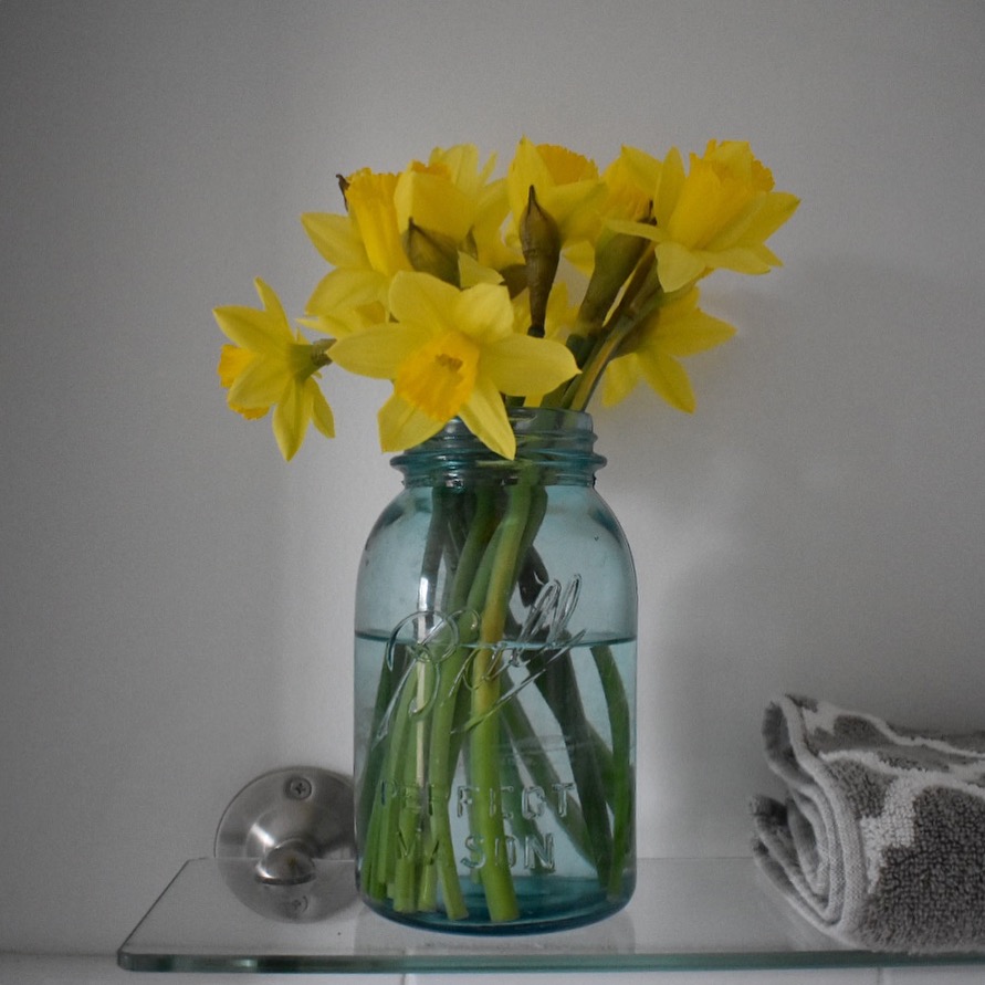 Daffodils in my bathroom